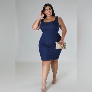 Dark Denim Dress (Plus Size)